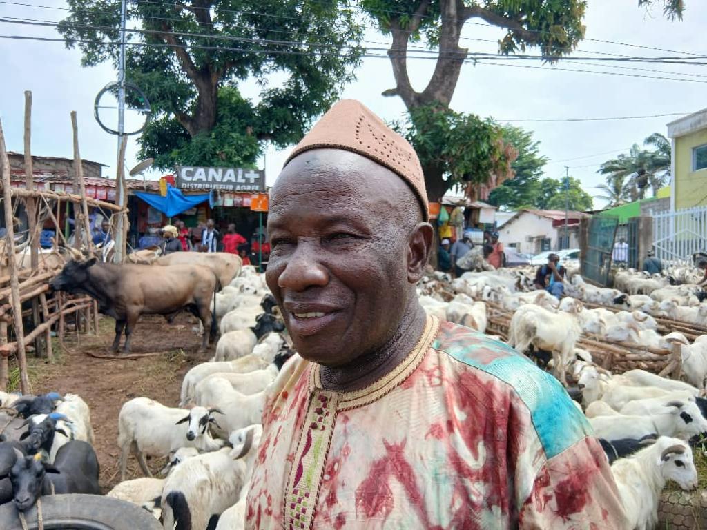 Tabaski 2025 : Les prix des béliers s’envolent à Conakry