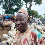 Tabaski 2025 : Les prix des béliers s’envolent à Conakry