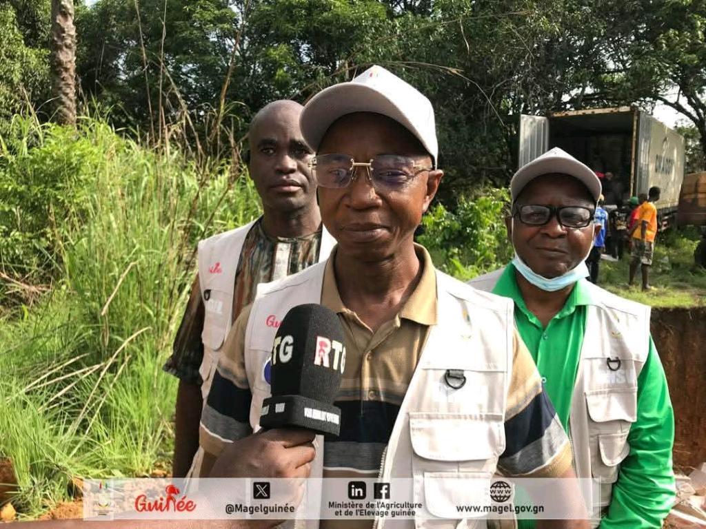 Poulets impropres à la consommation : plus de 2 700 cartons de cuisses incinérés !