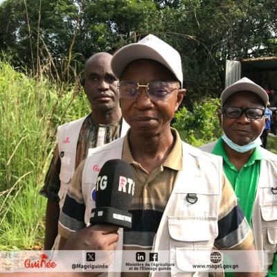 Poulets impropres à la consommation : plus de 2 700 cartons de cuisses incinérés !