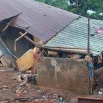 Inondations à Conakry : l'ANGUCH annonce un bilan de 15 morts et plusieurs sinistrés