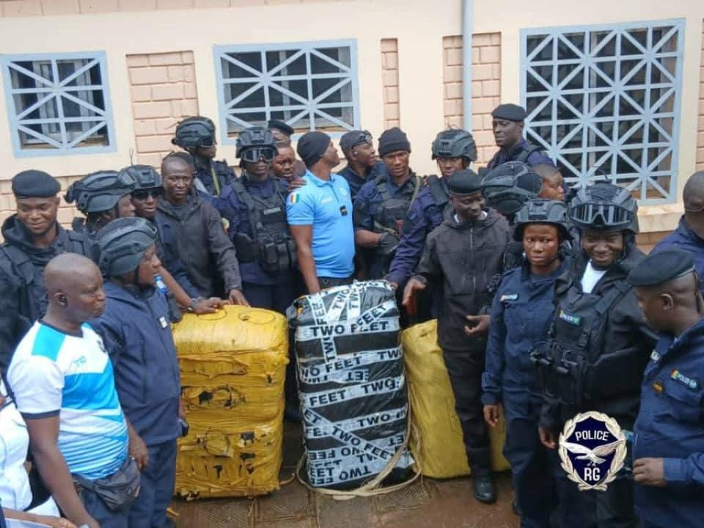 Moussaya/ Forécariah : encore une nouvelle frappe de la CIPAF avec plus180 kilos de chanvre indien saisis !