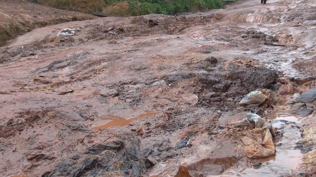 Coyah - Wonkifong : la route du désespoir qui isole une sous-préfecture historique