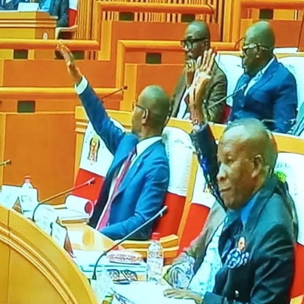 Budget 2025 : Les Députés de l'UPADS Optent pour l'Abstention