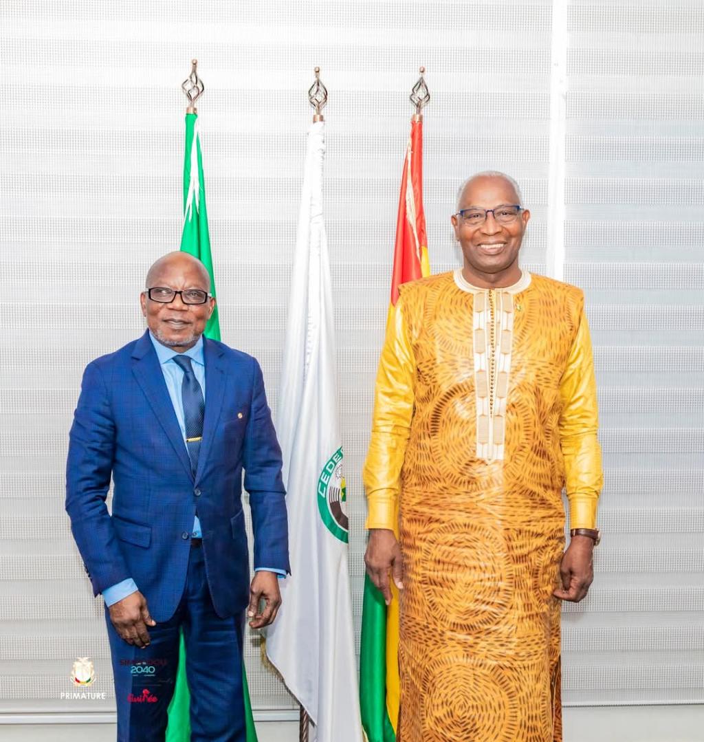 Retour à l'ordre constitutionnel : une mission technique de la CEDEAO reçue par le Premier ministre Amadou Oury Bah